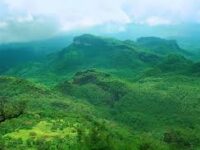 Pachmarhi Taxi Service